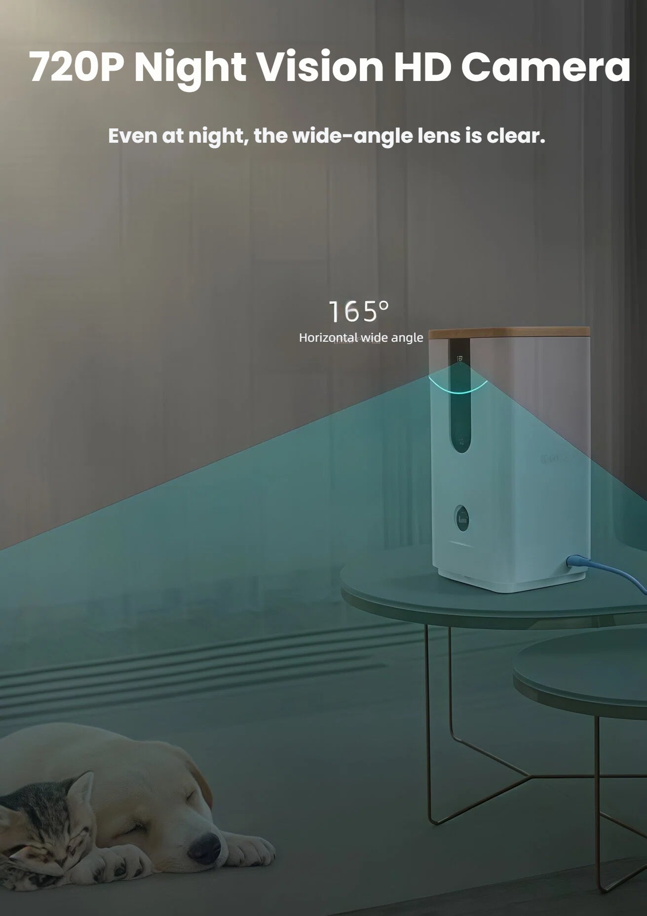 Night scene showing DOGNESS 8065 camera’s 165° wide-angle lens capturing a sleeping puppy and kitten in low light.