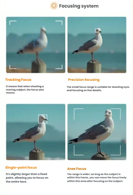  Four-panel visual guide illustrating the Canon EOS R100’s versatile autofocus modes: Tracking, Precision, Single-Point, and Area Focus for accurate subject acquisition in any scene.