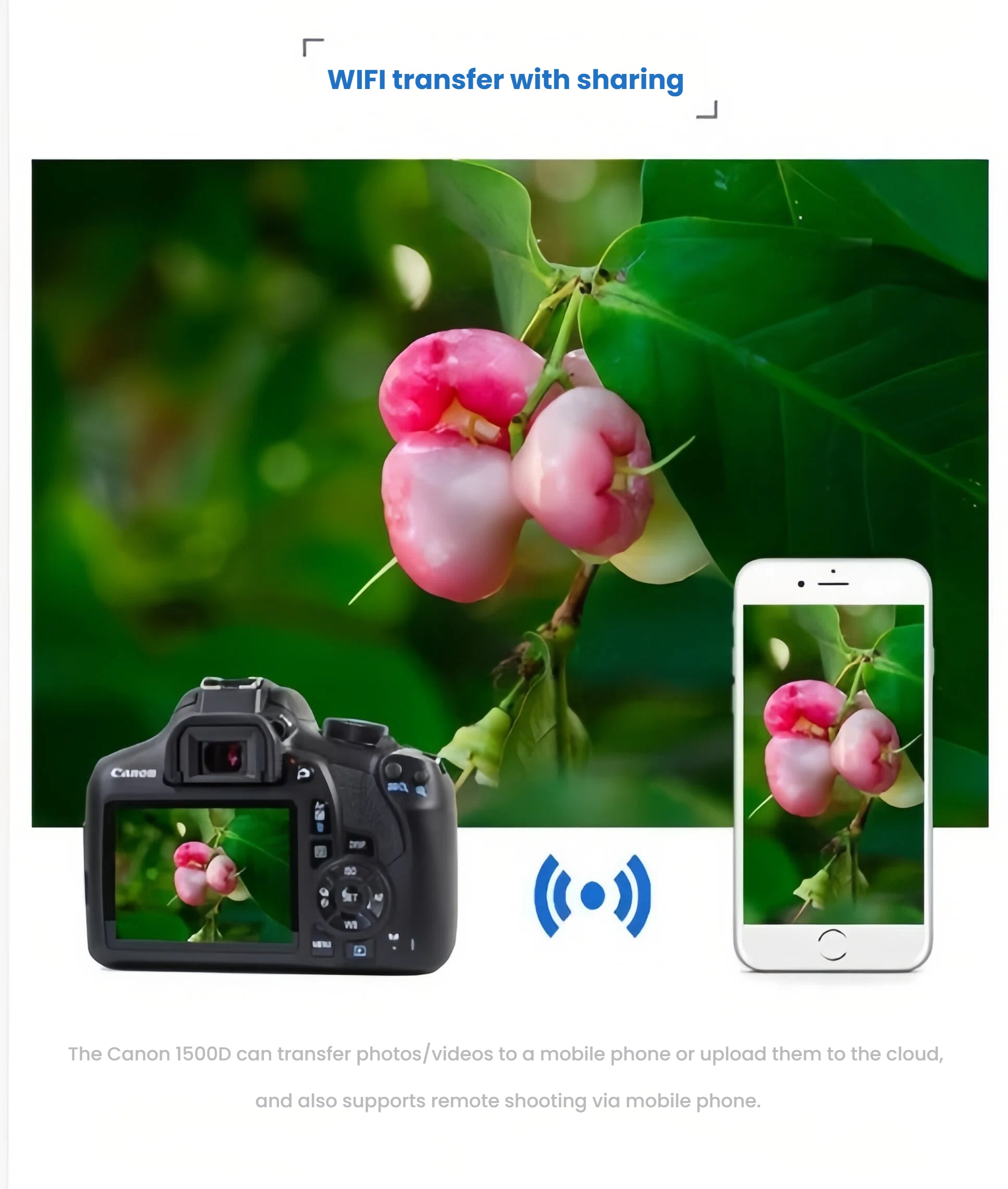Canon EOS 1500D wirelessly transferring high-resolution fruit photo to iPhone via built-in Wi-Fi for instant social sharing.