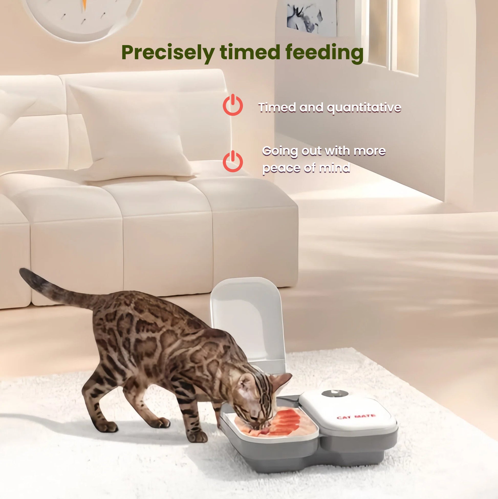 Cat Mate dual-meal timer feeder paired with a 2L pet water fountain featuring blue ice cooling technology. Ideal for cats and small dogs needing fresh food and clean water.