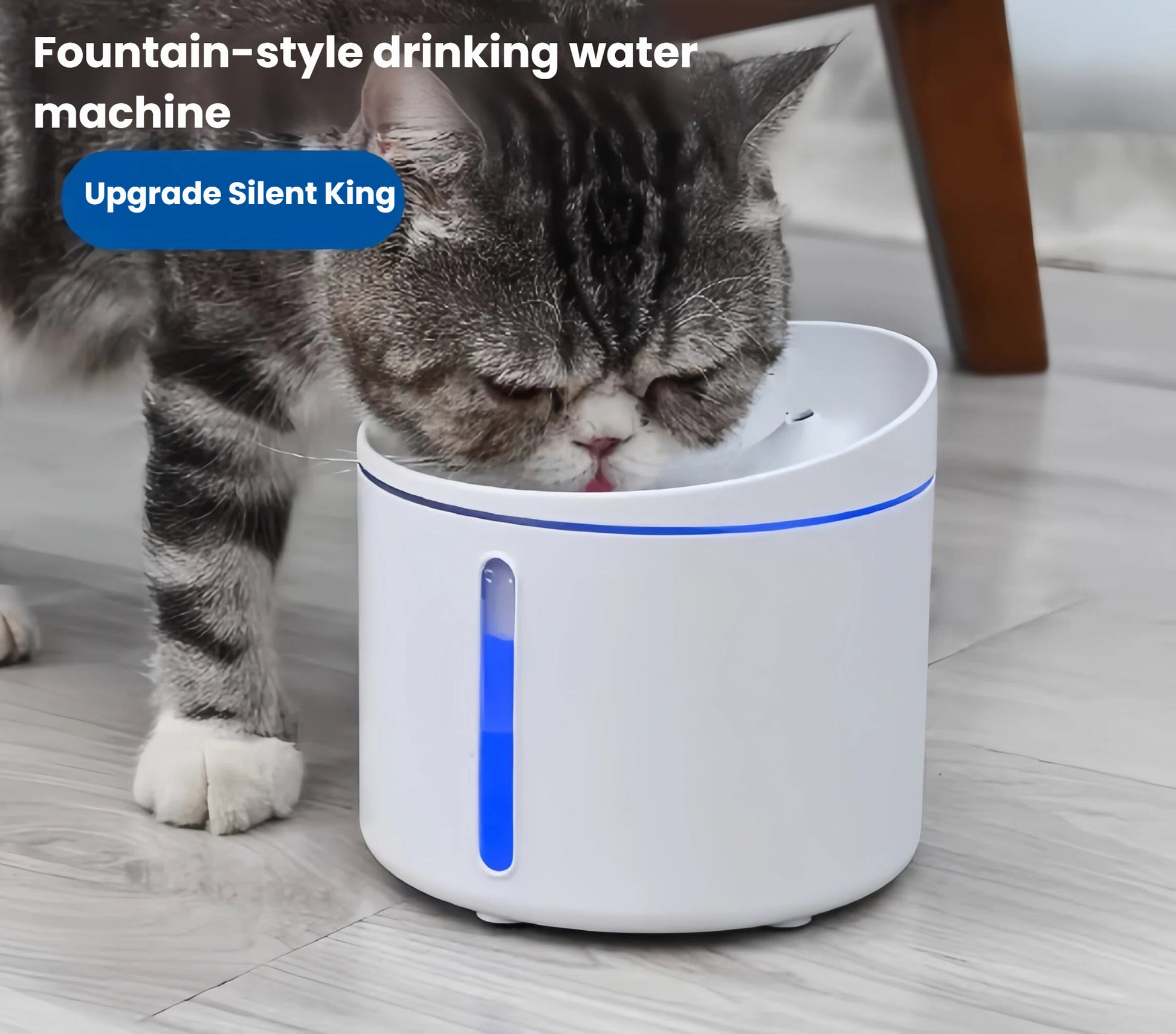 Gray tabby cat drinking from DOGNESS 1 L silent-upgrade fountain, featuring gentle stream and blue LED indicator.