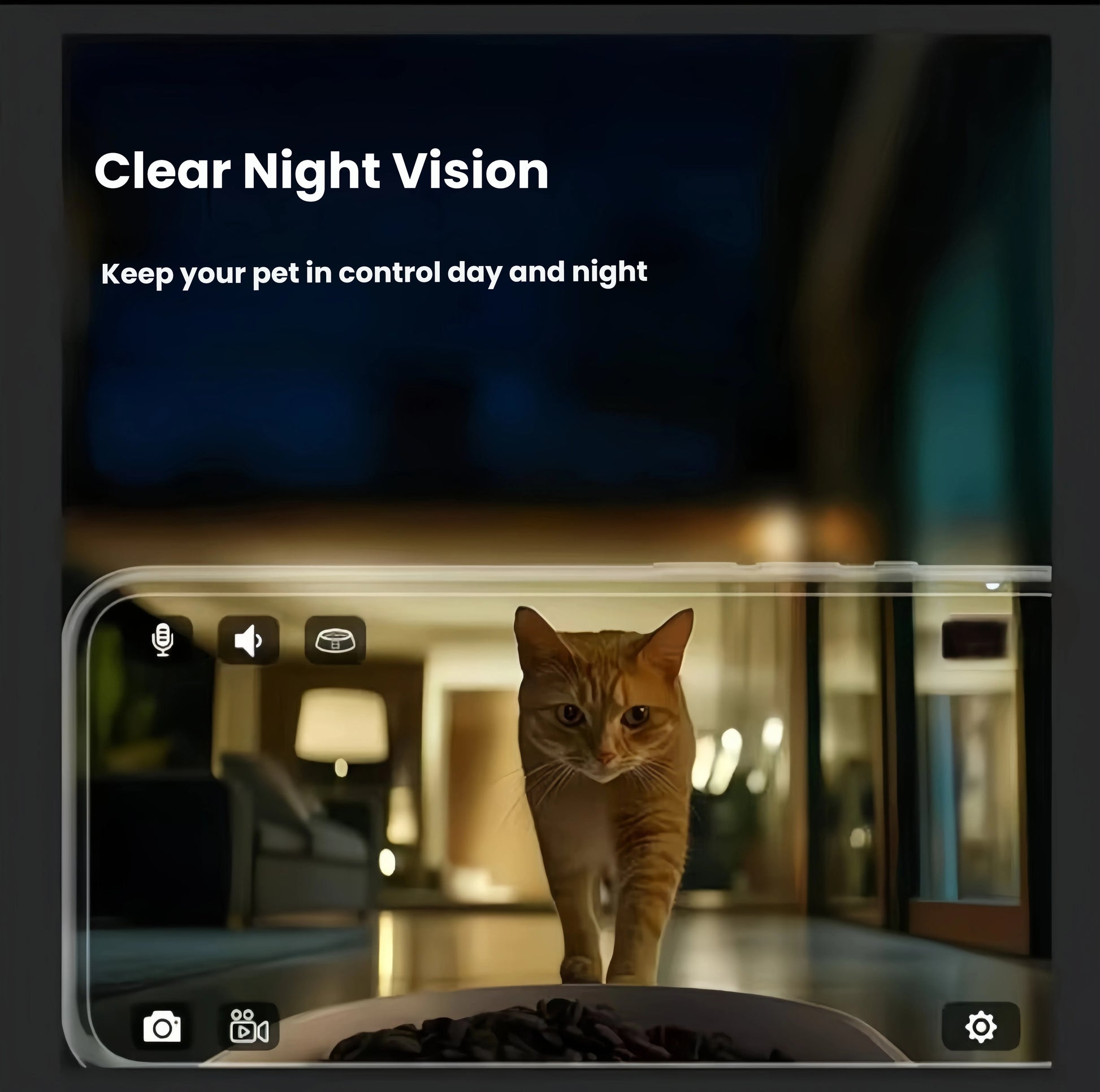 Smartphone screen displaying clear night-vision video of orange cat approaching DOGNESS Rover APP feeder for late-night meal.
