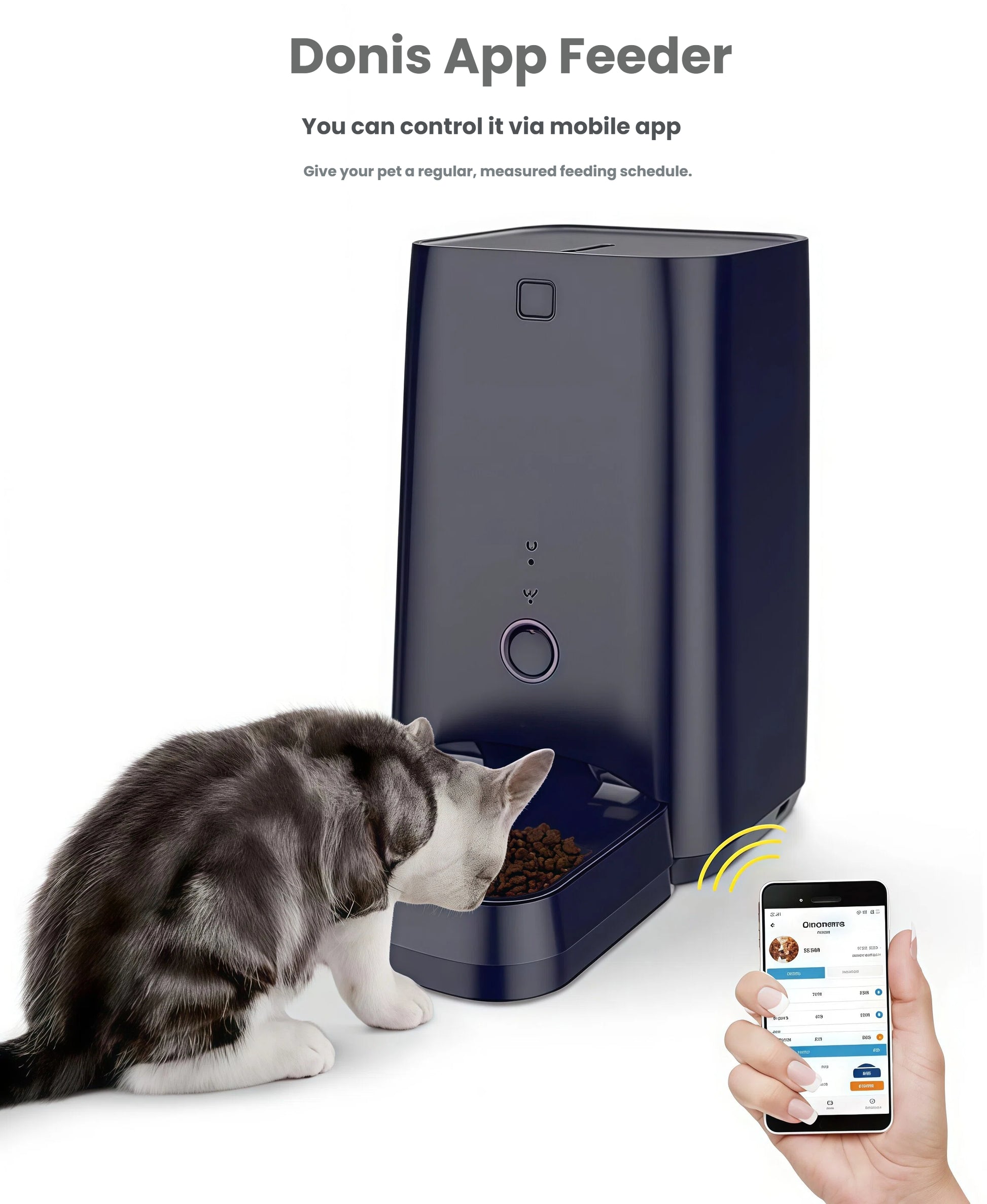 Tabby cat eating from navy blue DOGNESS 6L feeder while owner sets schedule on mobile app, demonstrating remote feeding.