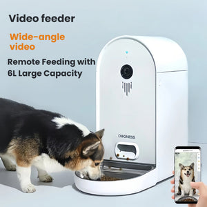 Corgi eating from Dogness 6 L camera feeder while owner uses phone to watch wide-angle video and dispense food remotely.