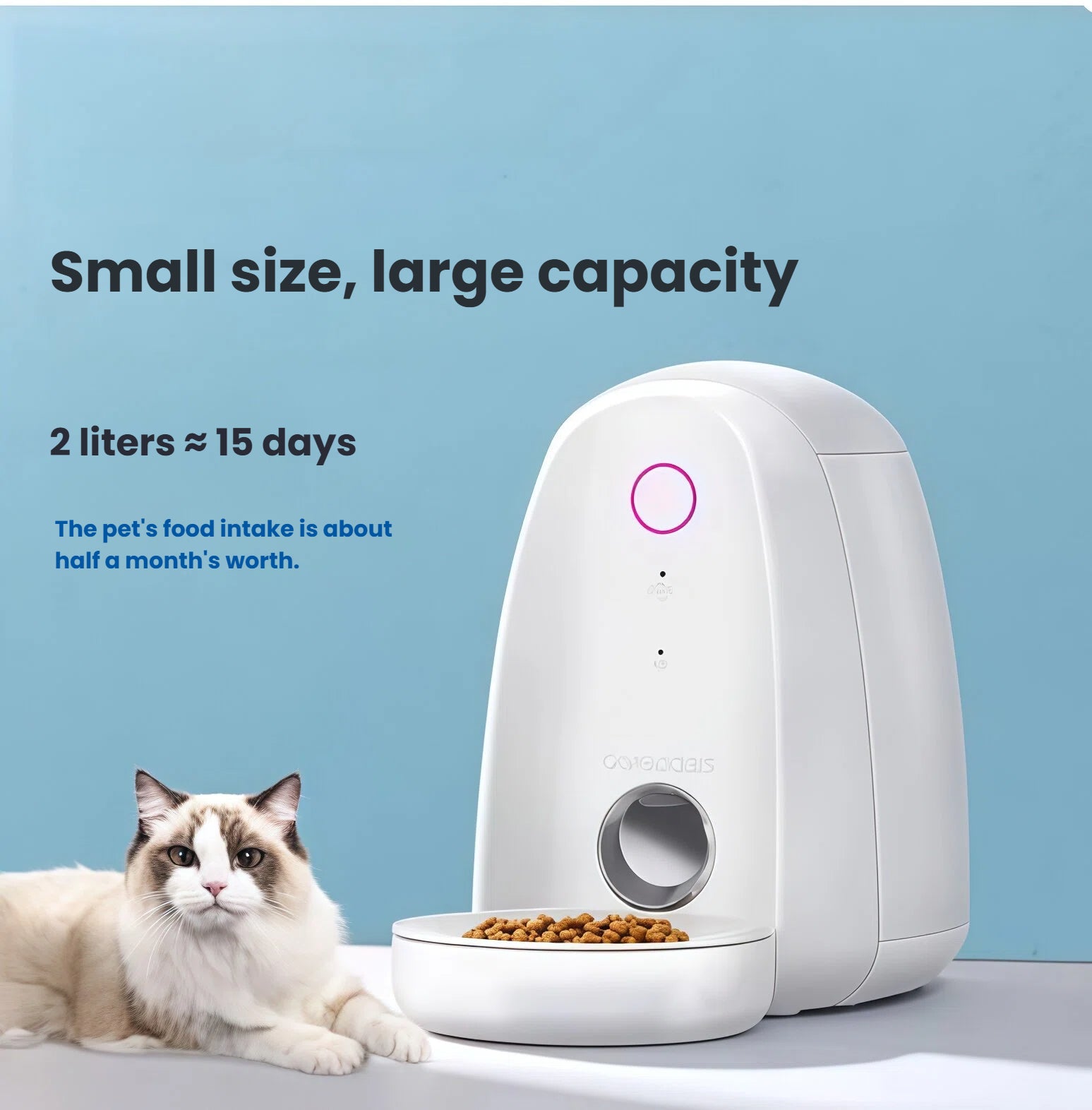 Small-footprint Dogness Mini 2 L Wi-Fi feeder holds up to 15 days of food for cats, pictured with relaxed ragdoll cat.