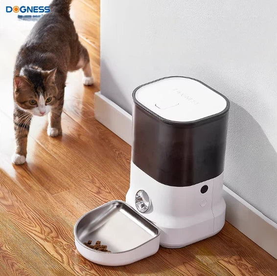 Curious cat walking toward white Dogness F11 Wi-Fi feeder with removable stainless-steel bowl on hardwood floor.