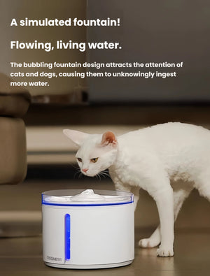 White cat observing Dogness simulated fountain with bubbling water flow; the flowing, living water design naturally attracts pets to drink more