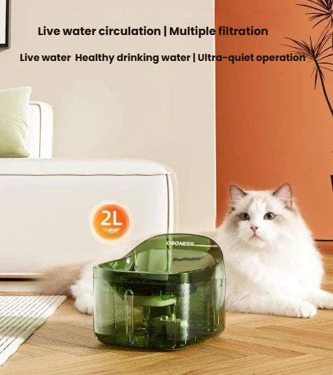 White cat sitting beside a green Dogness Smart Water Fountain in a modern living room – 2L capacity ensures fresh, circulating water for up to 7 days