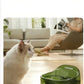 White cat looking at a green Dogness Smart Fountain with 2L large capacity – provides sufficient drinking water for cats for up to 7 days without refilling