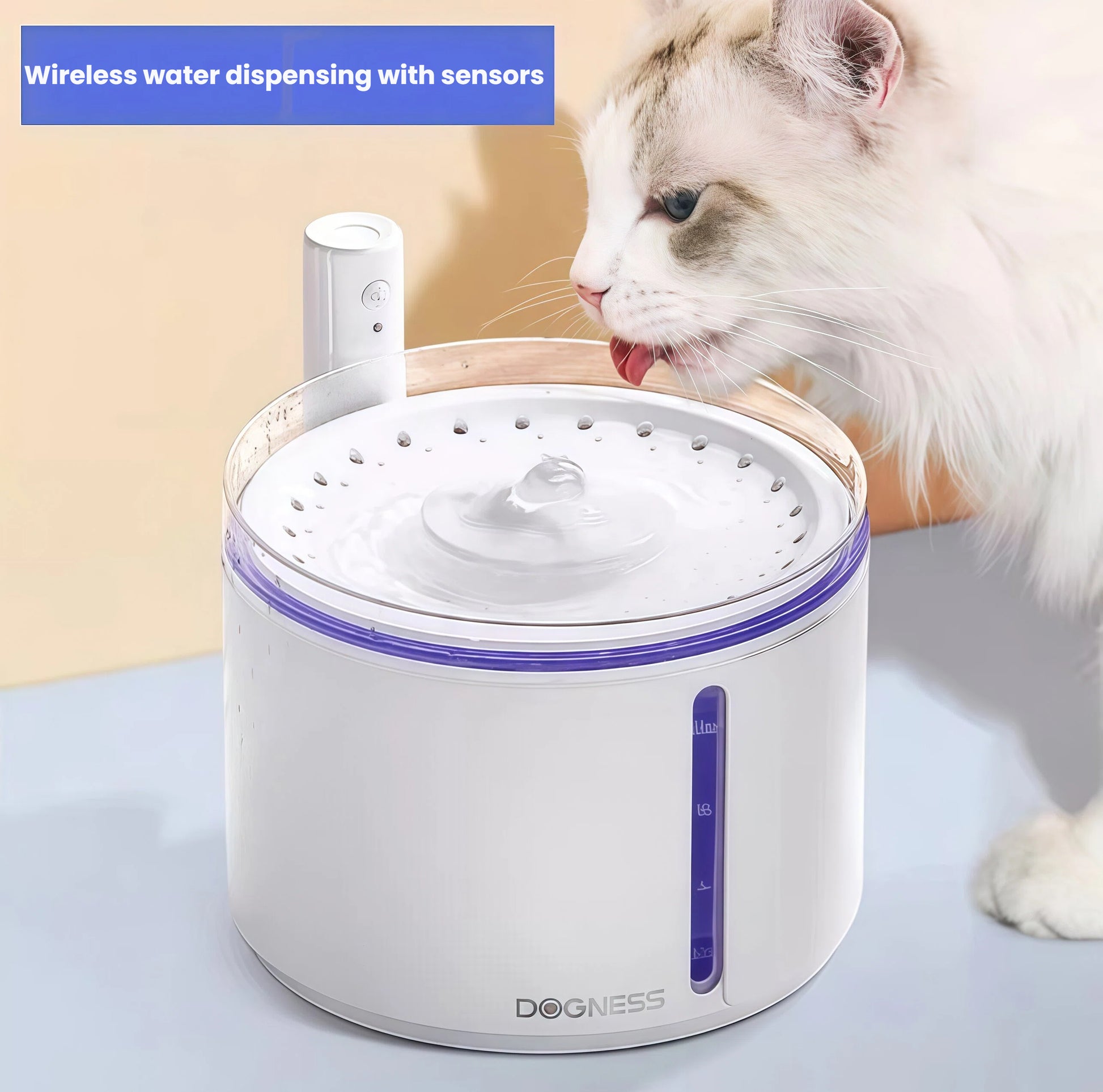 Fluffy white cat drinking from Dogness smart sensor water fountain with automatic water dispensing feature; purple LED ring highlights clean, circulating water flow
