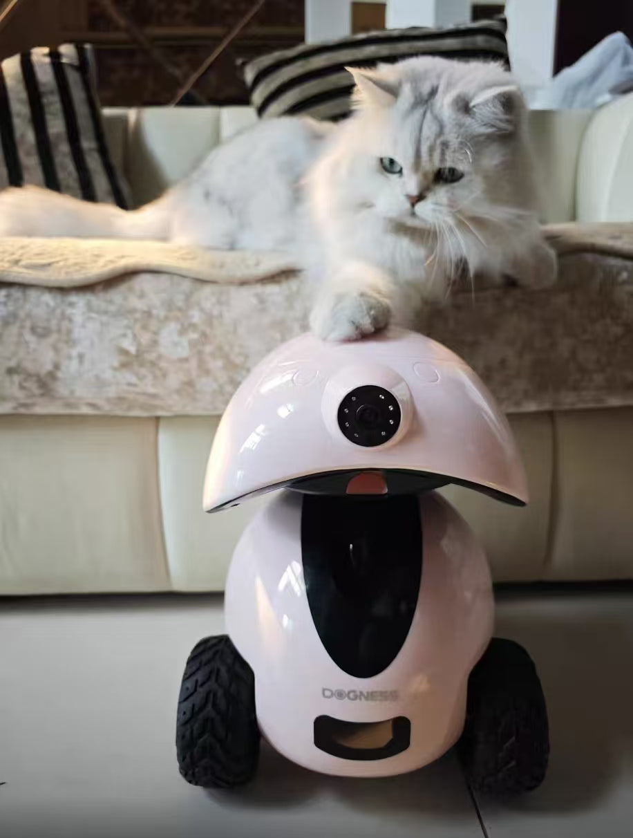 Long-haired cat resting paw on top of Dogness Smart iPet Robot, demonstrating pet-safe design and interactive engagement in living room setting