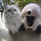 Fluffy white cat sitting beside Dogness Smart iPet Robot in home environment, showcasing compatibility with cats and automatic feeding system