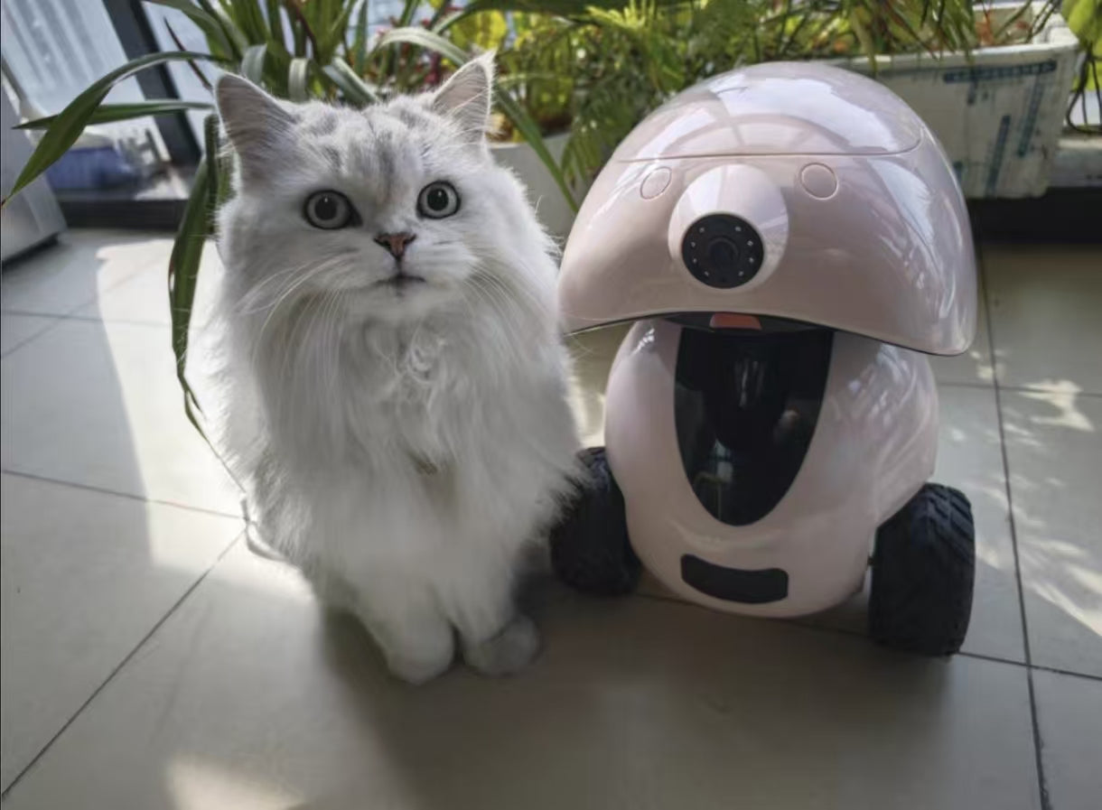 Fluffy white cat sitting beside Dogness Smart iPet Robot in home environment, showcasing compatibility with cats and automatic feeding system