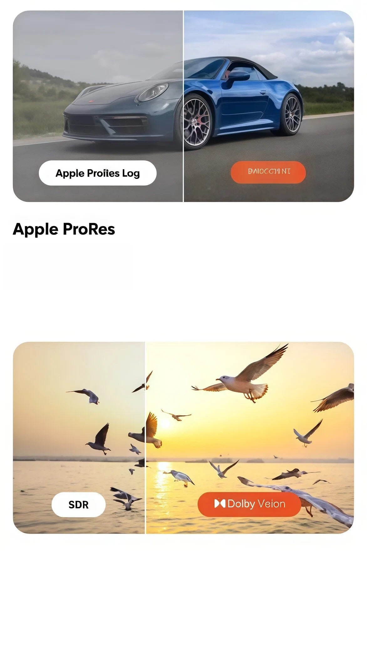  Insta360 Flow 2 recording in Apple ProRes and Dolby Vision for cinema-grade smartphone footage.