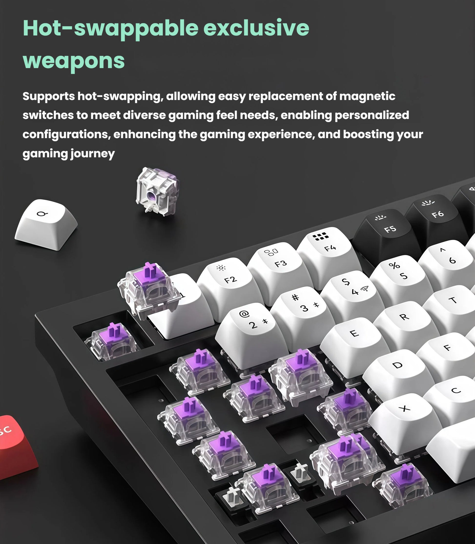 Top-down view of Keychron Q1 HE keyboard showing hot-swappable magnetic switches with purple stems, allowing users to customize tactile feedback without soldering.