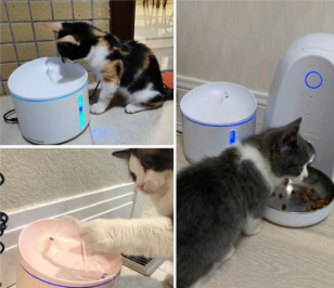 Collage showing different cats using Dogness pet water fountain in various home environments, demonstrating compatibility with multiple pets and real-life use