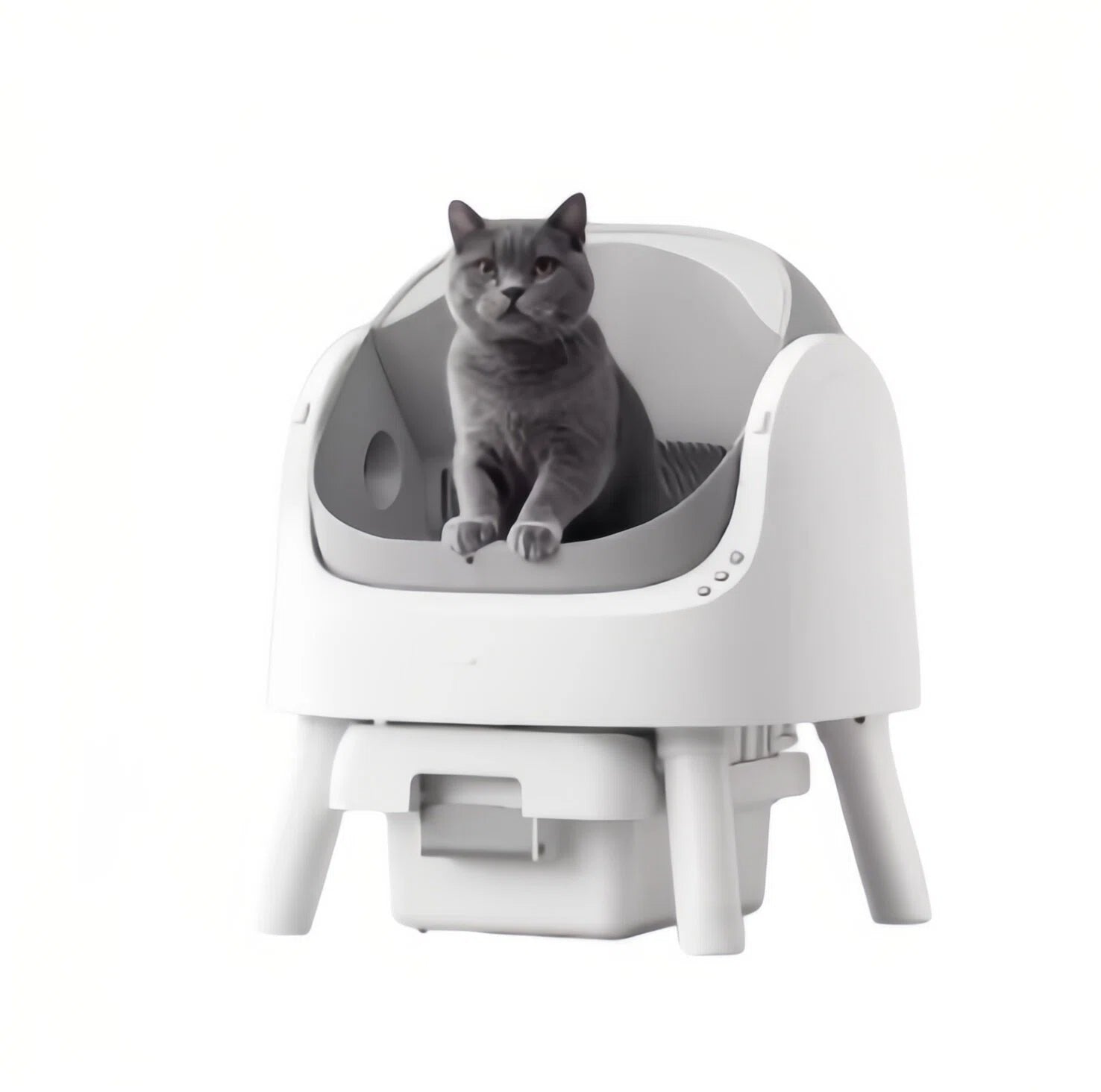PetPivot self-cleaning cat litter box with gray basin and white exterior — British Shorthair cat seated comfortably, highlighting low-stress open design