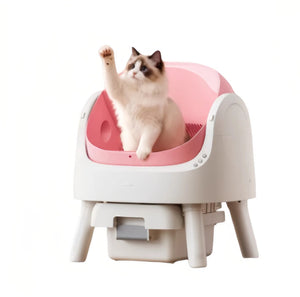 PetPivot automatic litter box in white with pink interior — fluffy cat sitting inside, showing open-top cradle design and comfortable space for digging