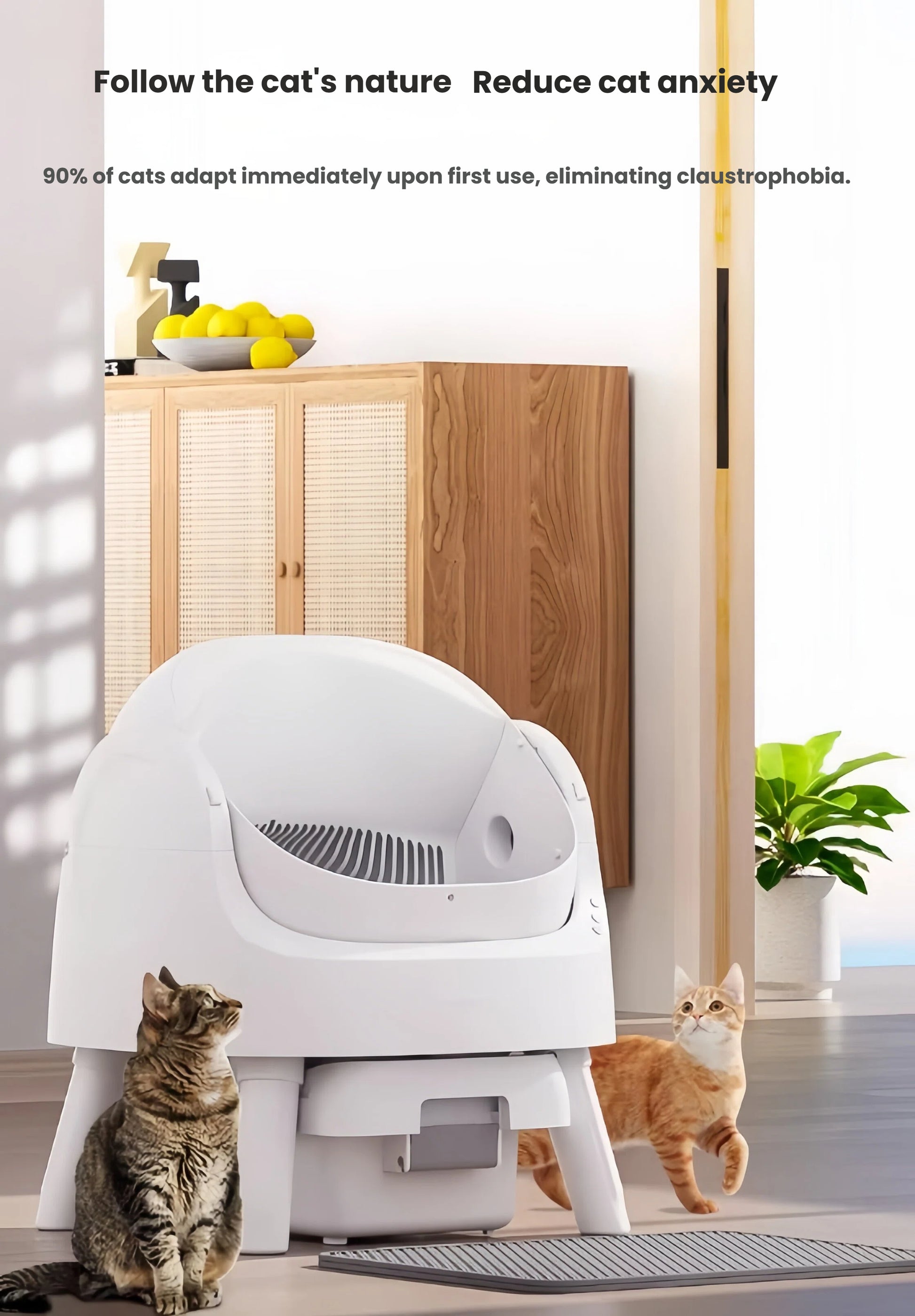 Two cats near PetPivot self-cleaning litter box — open design encourages natural behavior, 90% of cats adapt immediately upon first use
