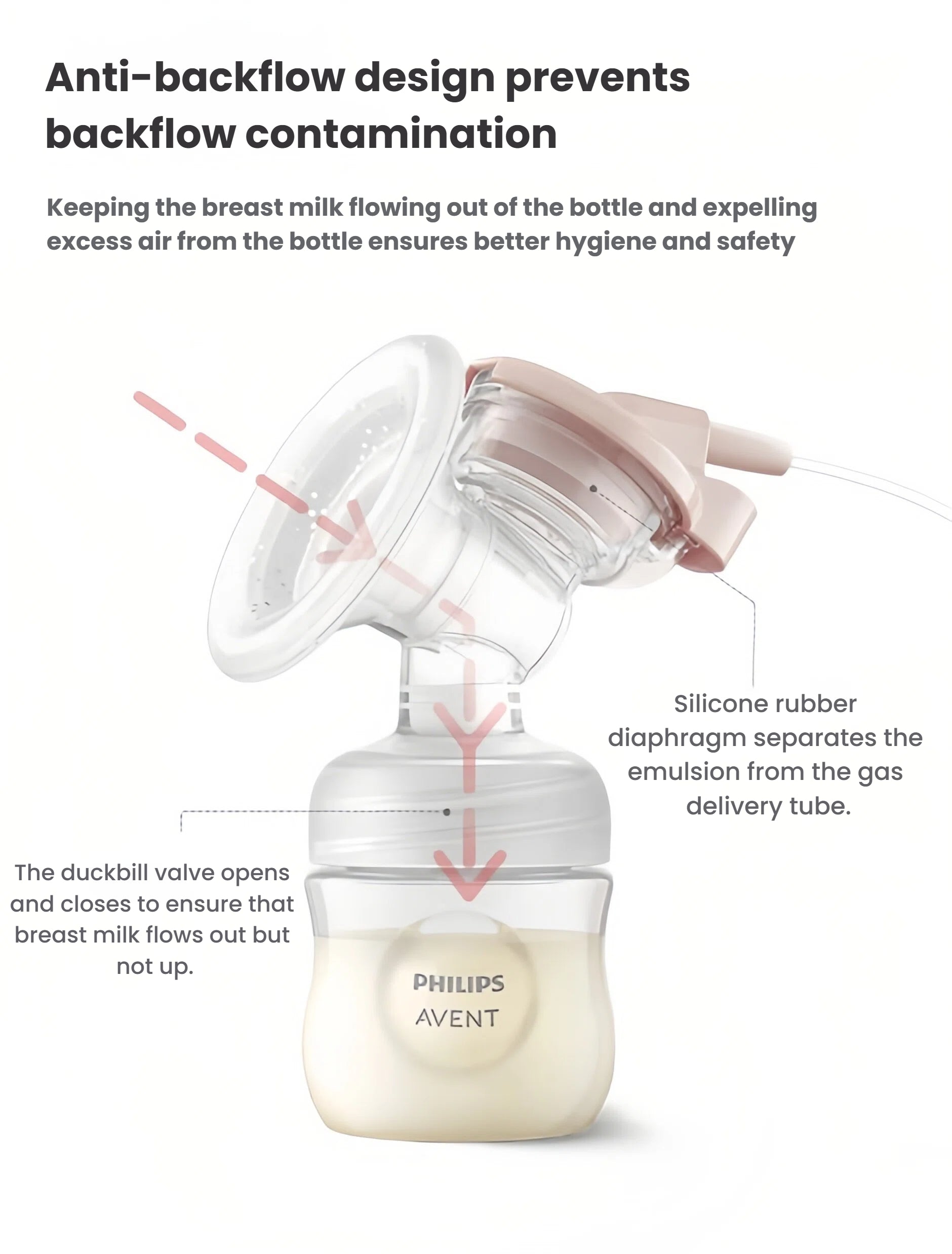 Diagram of Philips Avent anti-backflow system showing duckbill valve and silicone diaphragm preventing milk contamination. Ensures safe, hygienic milk collection.