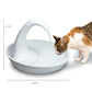 Pioneer Pet swan drinking water fountain with dimensions: 27cm height and 30cm width — compact size fits easily on kitchen counters or floors for cats and dogs