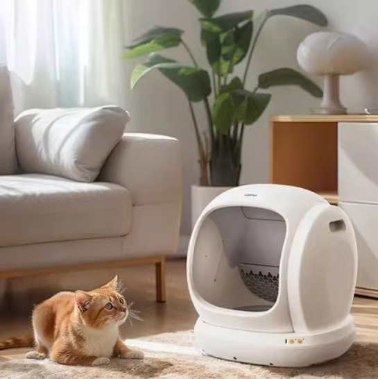 Orange tabby cat sitting beside UB Pet by Pettecc C20 self-cleaning litter box in a modern living room with sofa and plants, showcasing pet-friendly design and home integration