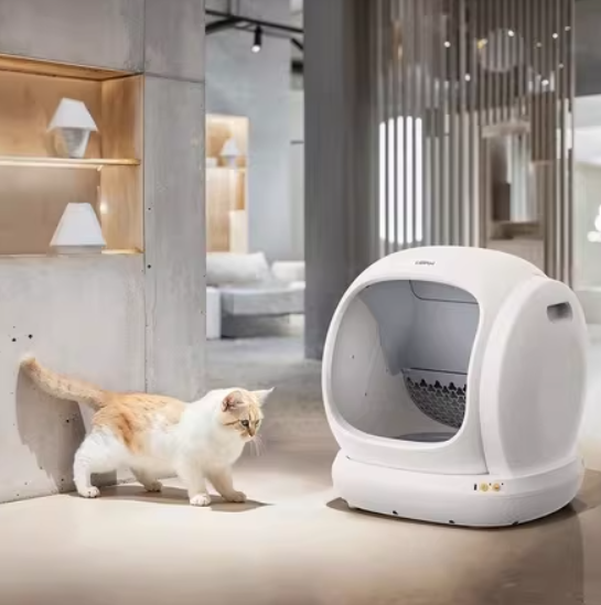 Cream-colored cat walking toward UB Pet C20 automatic litter box in minimalist interior space, highlighting spacious interior and easy-access entry for cats
