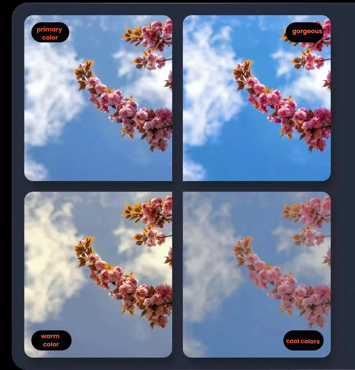 Four-panel comparison showing cherry blossoms under different color modes: primary, warm, cool, and gorgeous – demonstrating VITURE Pro XR glasses’ superior color reproduction and display accuracy