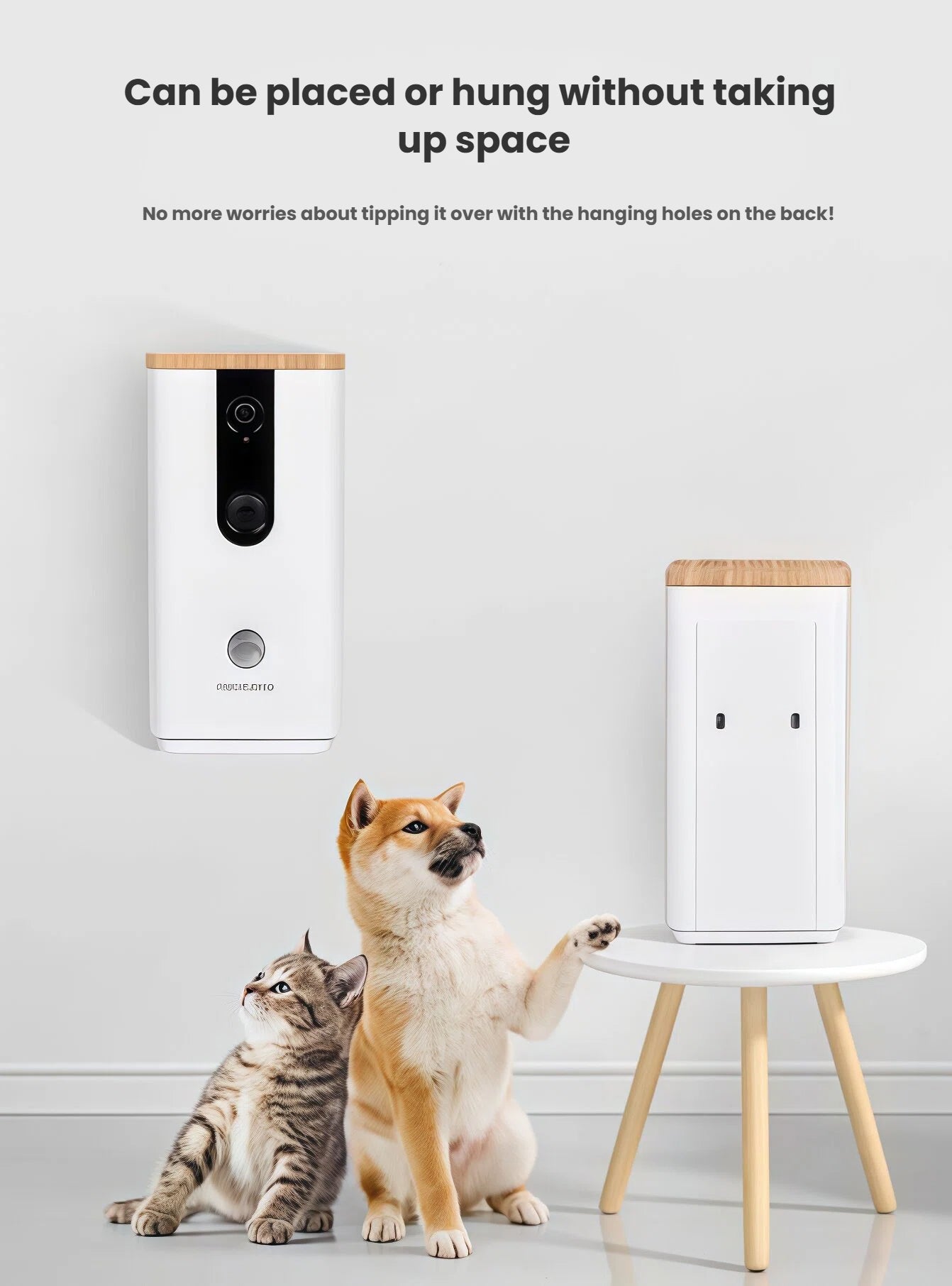 DOGNESS 8065 camera mounted on wall and placed on small table, with Shiba Inu and tabby cat demonstrating space-saving design.