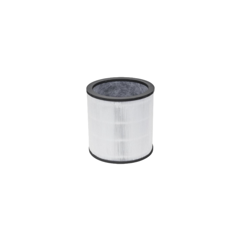 Dyson 360° Glass HEPA Filter